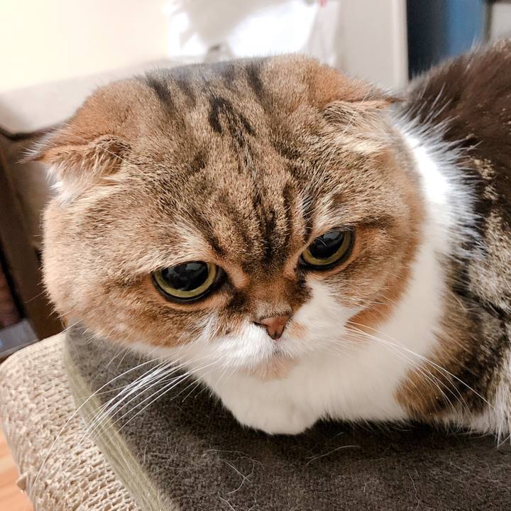 F4a3052f 4bb2 4799 bdc7 e5a65aea96e7 1567954515822