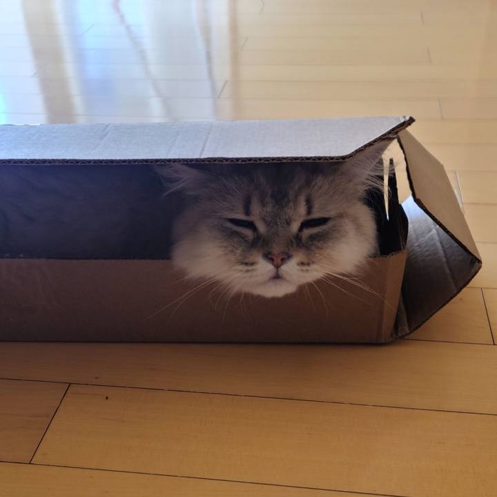 F4a33ce8 fb4c 4fc0 8fee 35fe5e58000b 1628151862280