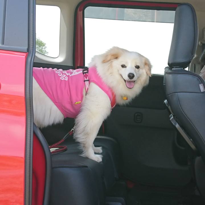 F4a34dd7 5f2d 40e0 a8d0 9f56c1a4d43c 1522833502342