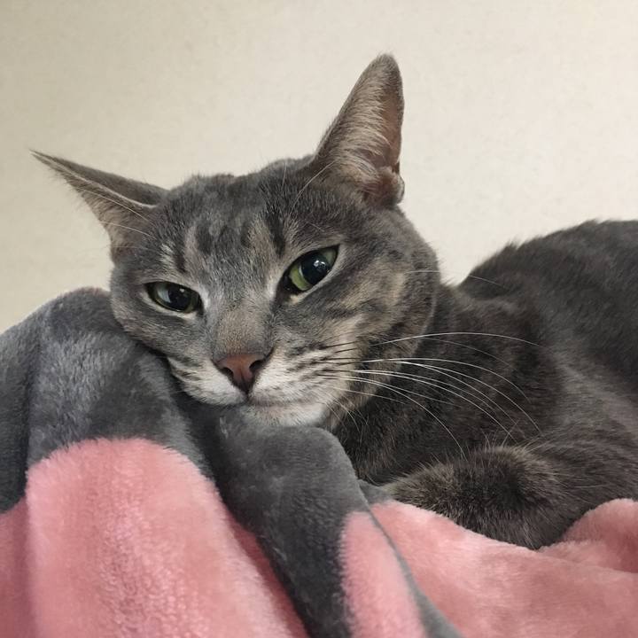 F4a353b1 f2d7 4cb6 96ed 708791ab1620 1545523489561