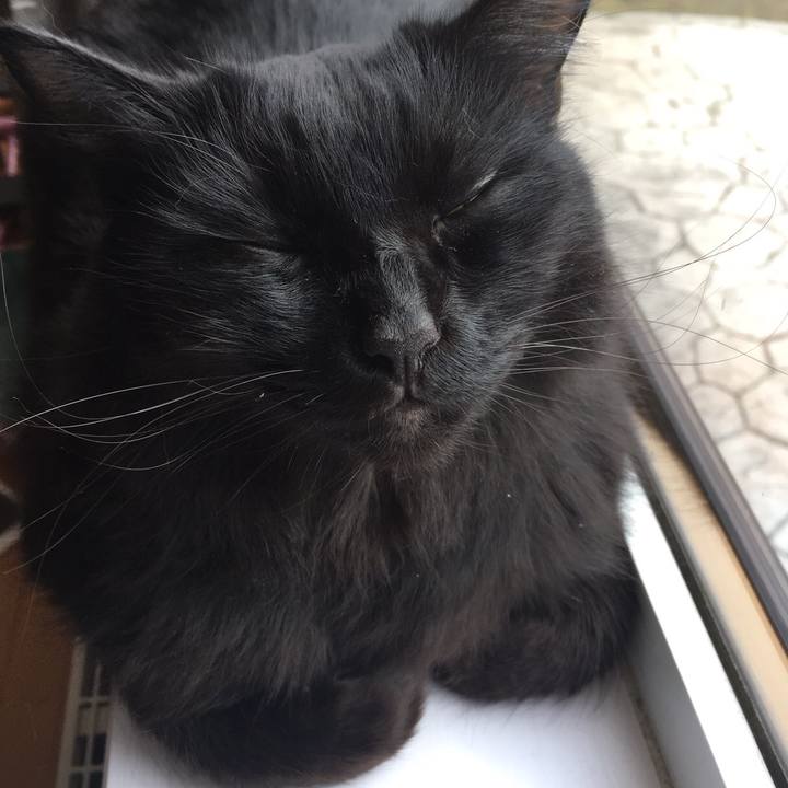 F4a35dfc f06e 4c6d 8cc3 022d9049ee2e 1510372602940