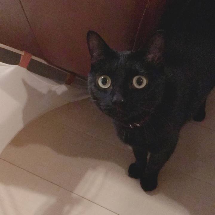 F4a3af55 fbb5 41cc ae39 b015a0a958b1 1540901435724