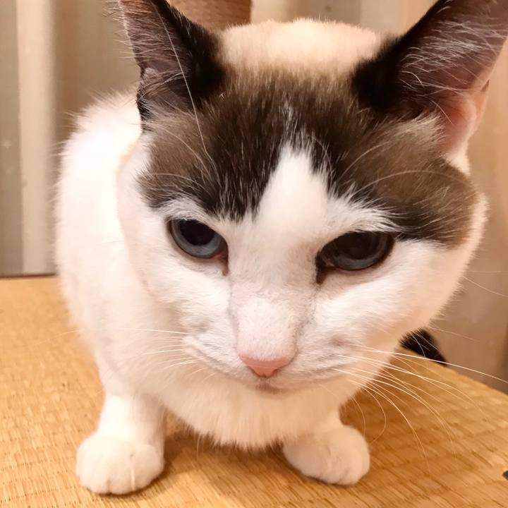 F4a3c437 40e1 4142 83df ebf2c84da962 1580285745609