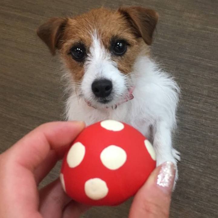 F4a3d1d5 678f 4275 9841 48e9442b08ef 1510165640167