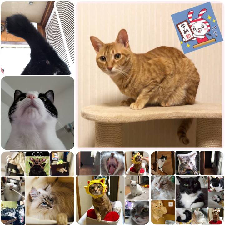 F4a40611 9fed 4201 bc13 ef796abde352 1556716139261