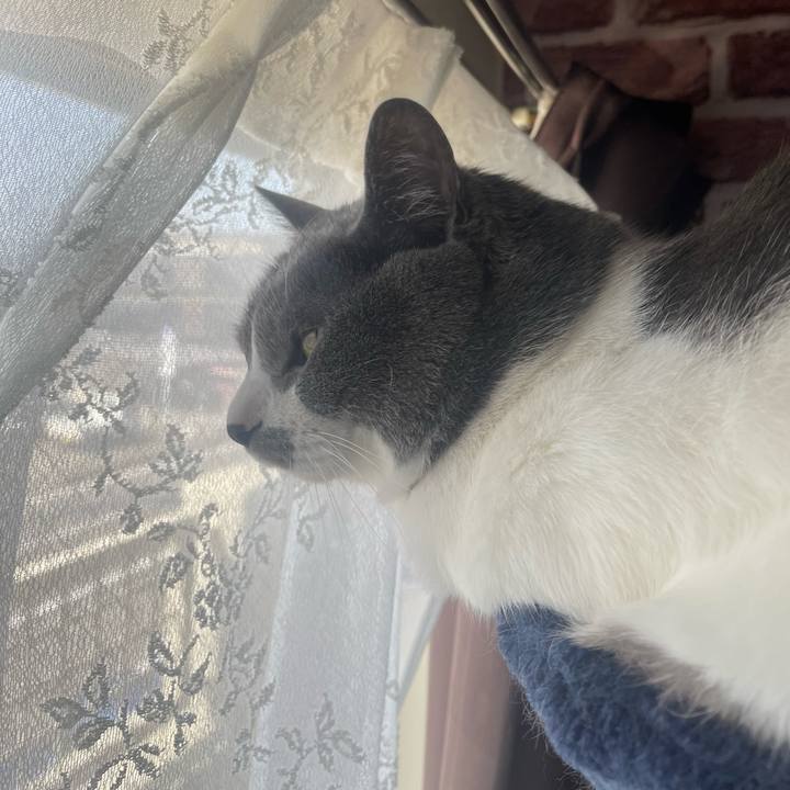 F4a4414c 3754 4d37 ae49 b38cafdcc0d8 1682900122492