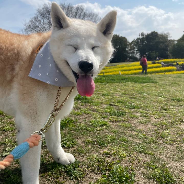 F4a473eb 471d 41c4 b4da 3bb1a721edb6 1678663307399