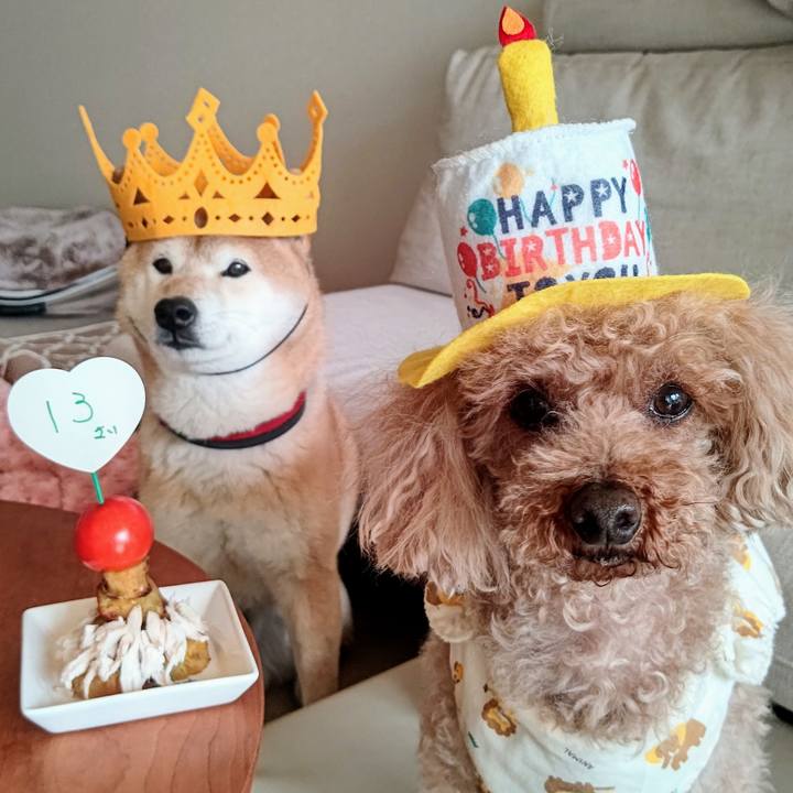 F4a4871b 232b 49d0 bd80 076c9978ba3a 1644559850638