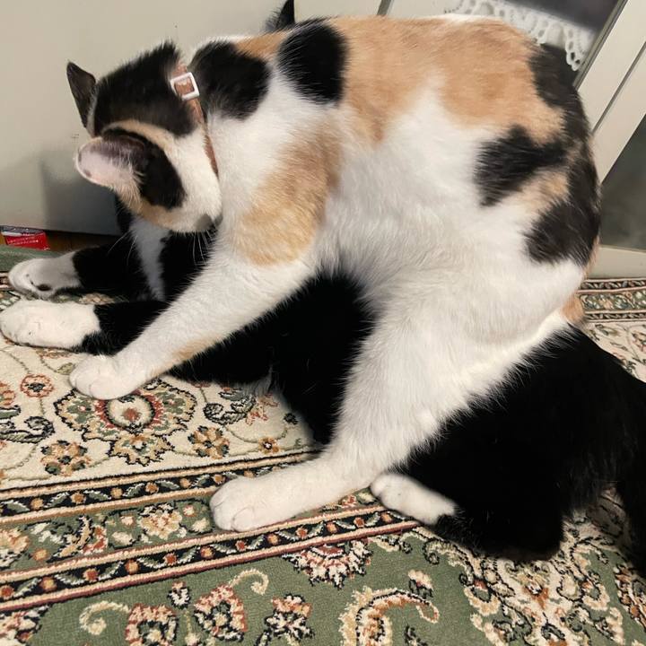 F4a4d3fb f06b 432e 9626 26673757c56b 1692010686130