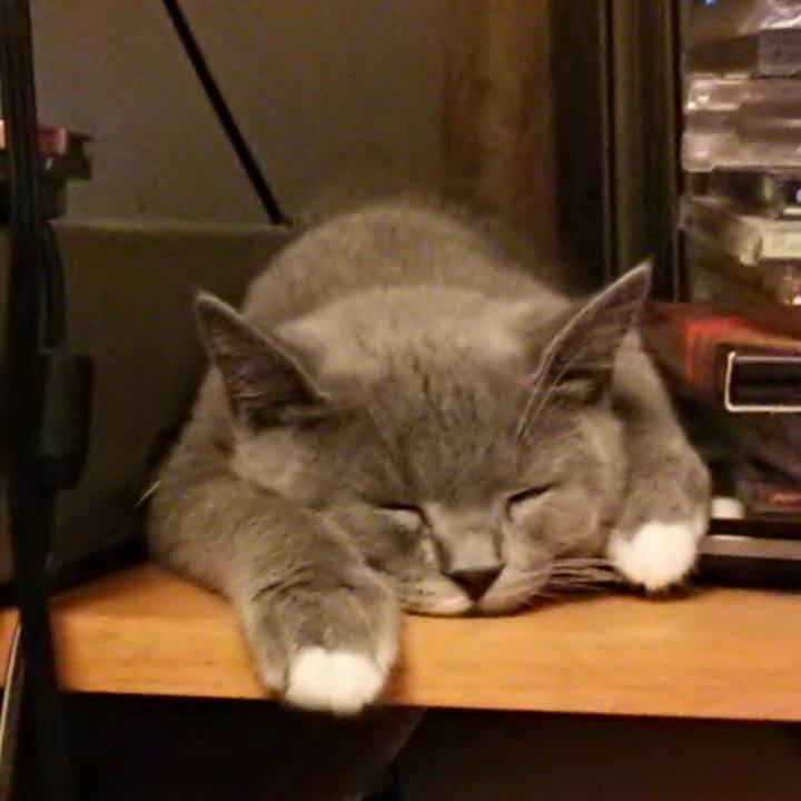 F4a4d943 4a41 4bc9 ac03 7b3fc40da513 1534459270461