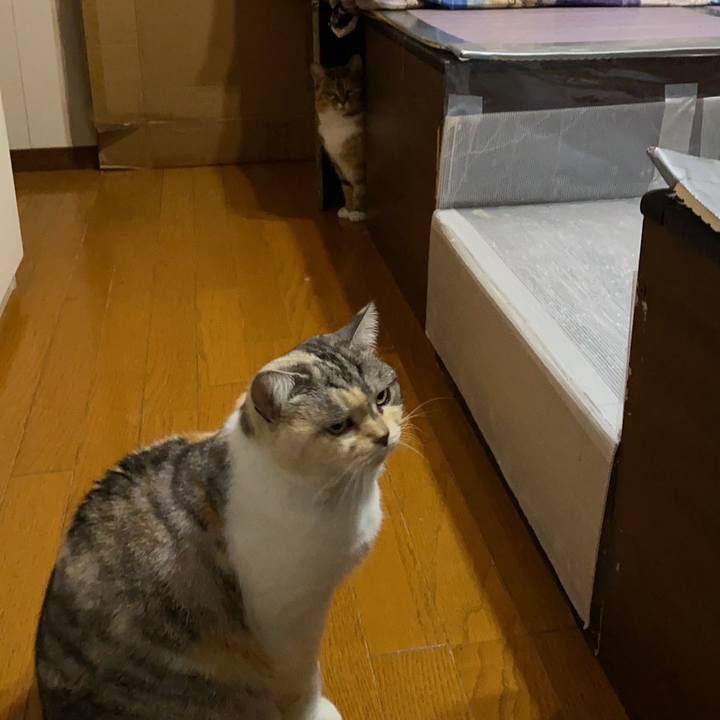 F4a4dd4b 966b 4261 9383 0f6a97148d16 1673016799703