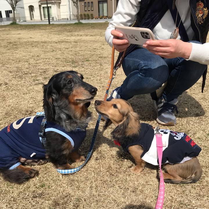 F4a52748 390d 48d5 ac0f b9d1ff0d310b 1614919227572