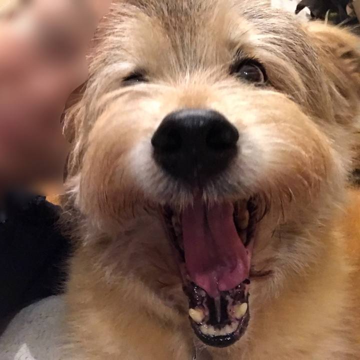 F4a5499e 58d9 41ed a912 2d95cc754808 1607833656382