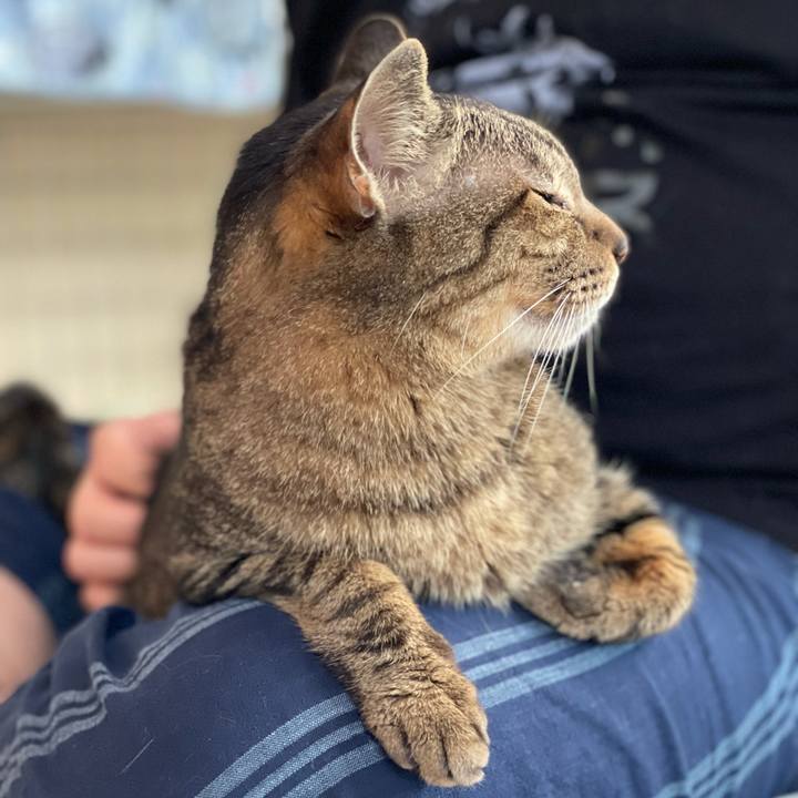 F4a549a3 39e7 4e53 8a62 f1733ad66827 1624411252464