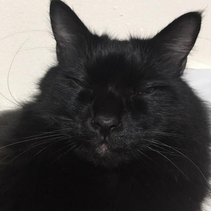 F4a54d07 4f99 4e73 bcbe fd7667d71b2a 1511103161532