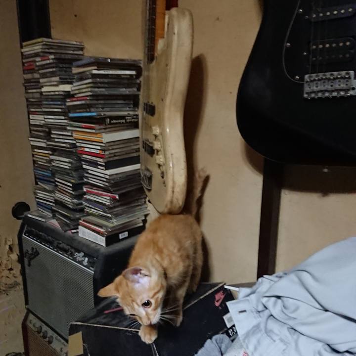 F4a551a2 4e37 4014 a136 09287e3a208a 1632743394609