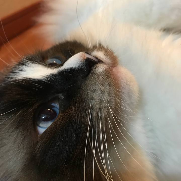 F4a5825b f2c3 4aa1 a1f3 bcd87f1181cc 1530279723204