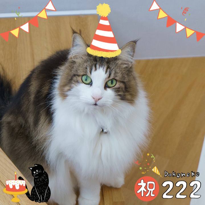 F4a5826a 68c8 4f9e b393 6e9a8b3e0a0f 1645498341191