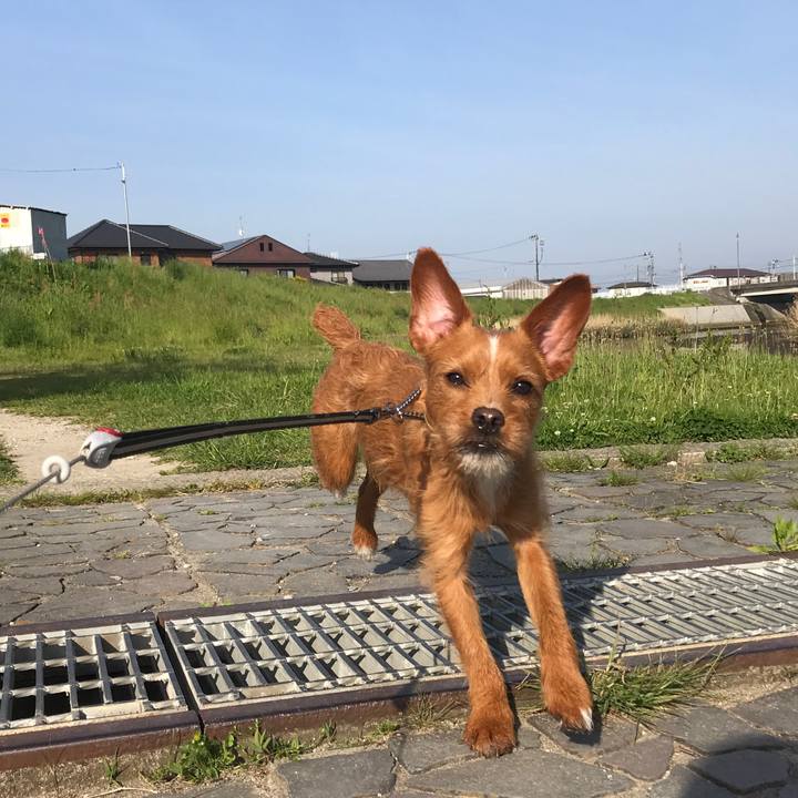 F4a58bb1 980f 49c3 a5c2 a1c4374db263 1558137341054