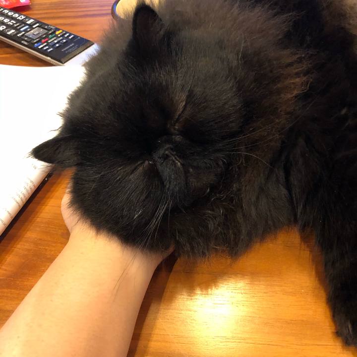 F4a608a3 6a3d 4343 8695 769135d361fe 1589804617777