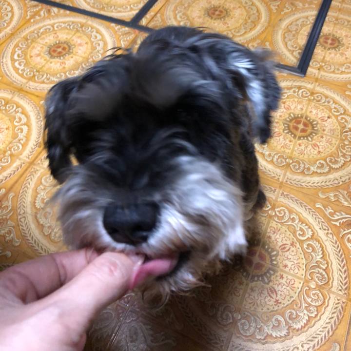 F4a60990 5da6 4186 8f76 20b722798e4a 1634647075010