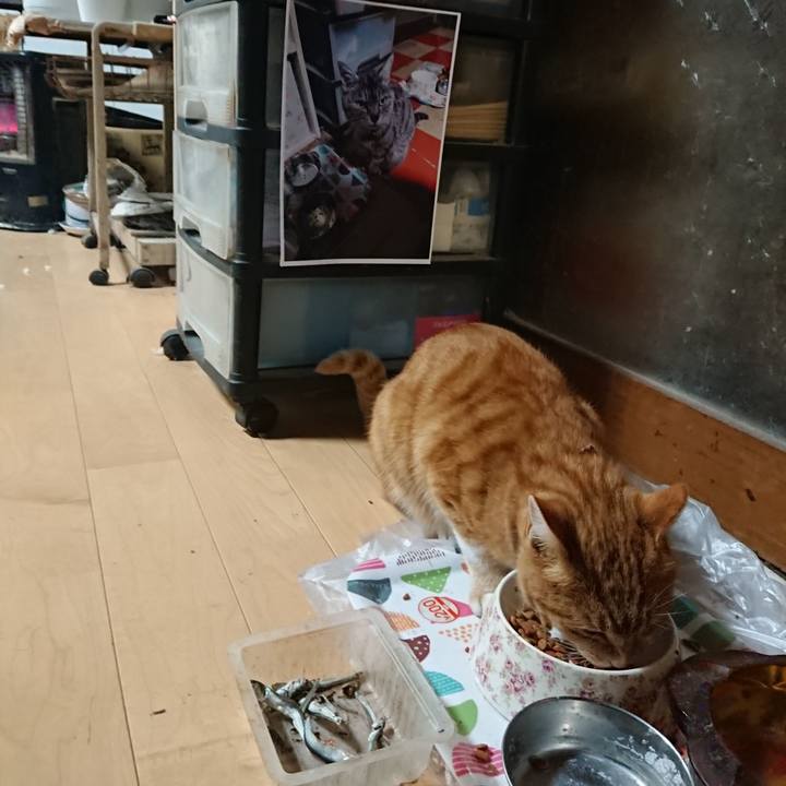 F4a62118 fb02 4f8e 846e db557ebf9030 1602841505655