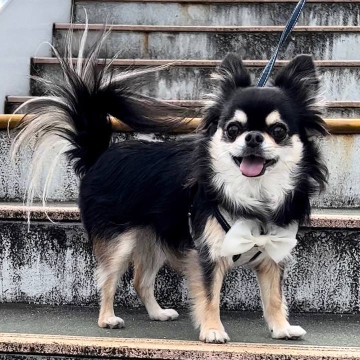 F4a64b57 211f 47ed 8c39 dcf671be8354 1676407692109