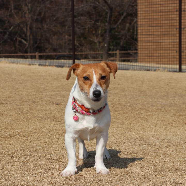 F4a65b70 1a26 4439 8f4c 374b4e24f7cf 1519463929141