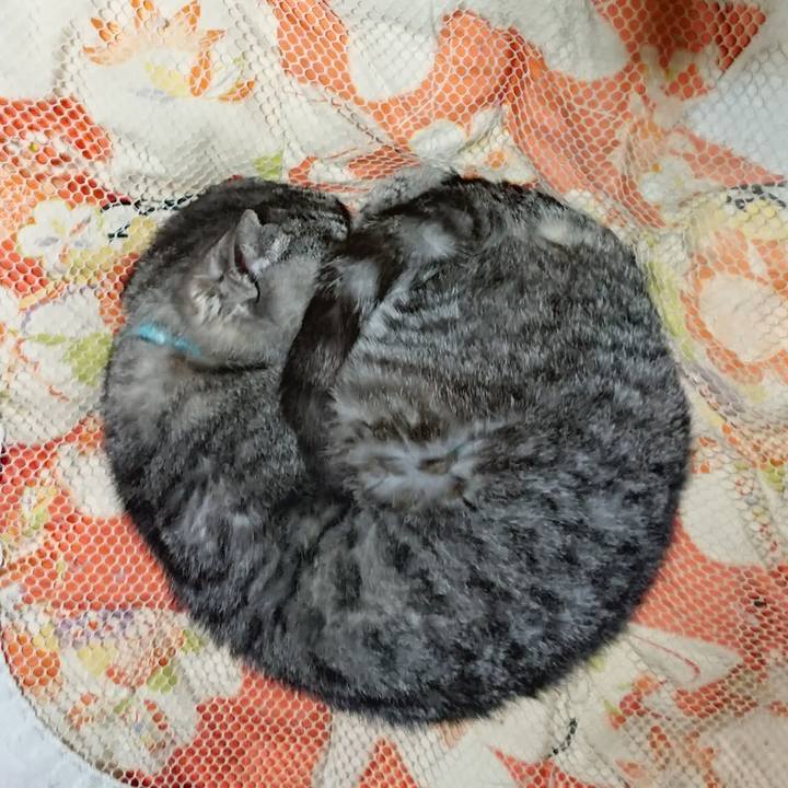 F4a68df7 8af6 49ea a6a8 a815c4f64d8f 1604574852933