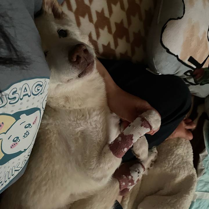 F4a68e78 3305 4db8 9577 559ef49cf32d 1683492640296