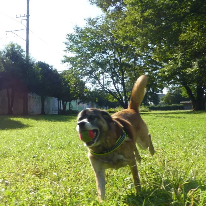 F4a6b9f2 f1d5 4978 bfdc a1bdbd00ed62 1580691523628