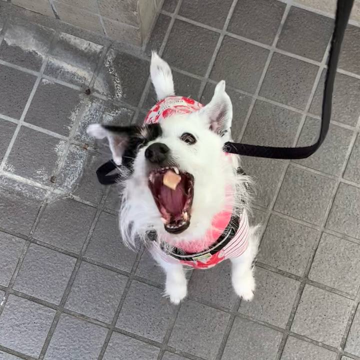 F4a6e11d 0a3d 4e7a b873 7c144d4eda73 1710833415571