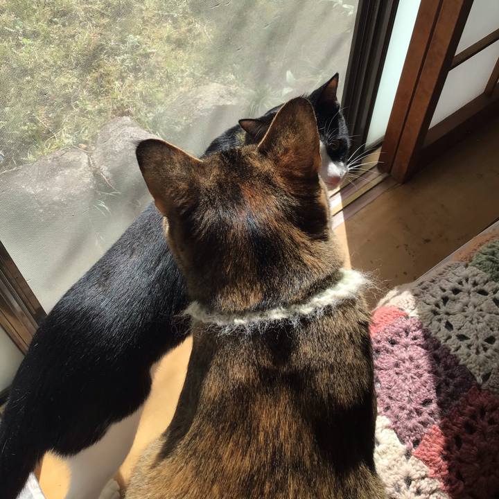 F4a6f18a 4966 4a1e 8927 f2693073d8ce 1648340664724