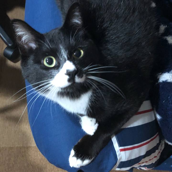 F4a6f5db 8e6e 429d 8d48 04668e236827 1520567418256