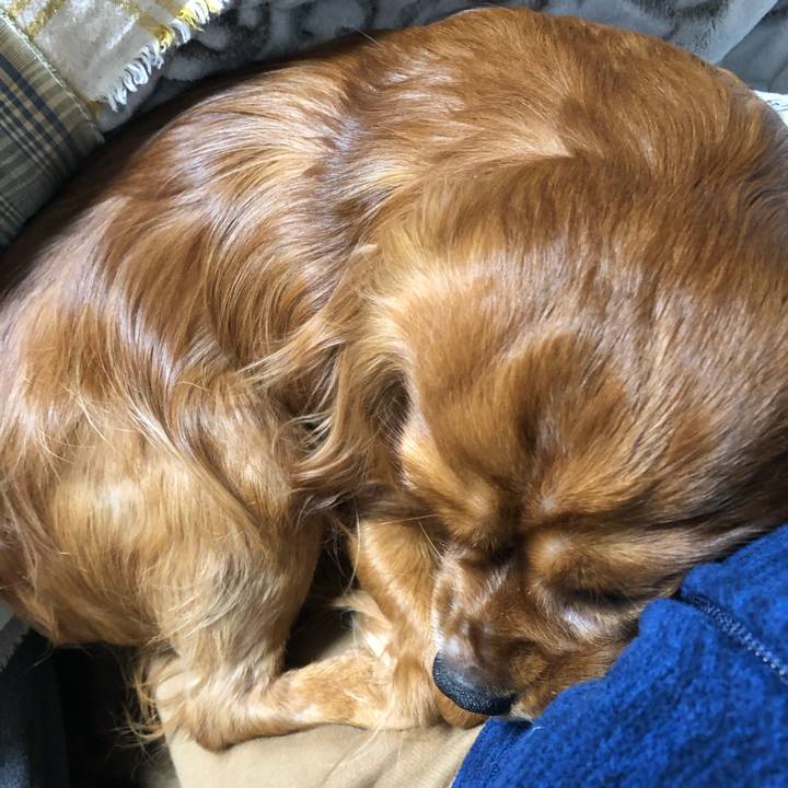 F4a6fc40 a2ba 4d44 bcb6 0a8ae93433f9 1548167867483