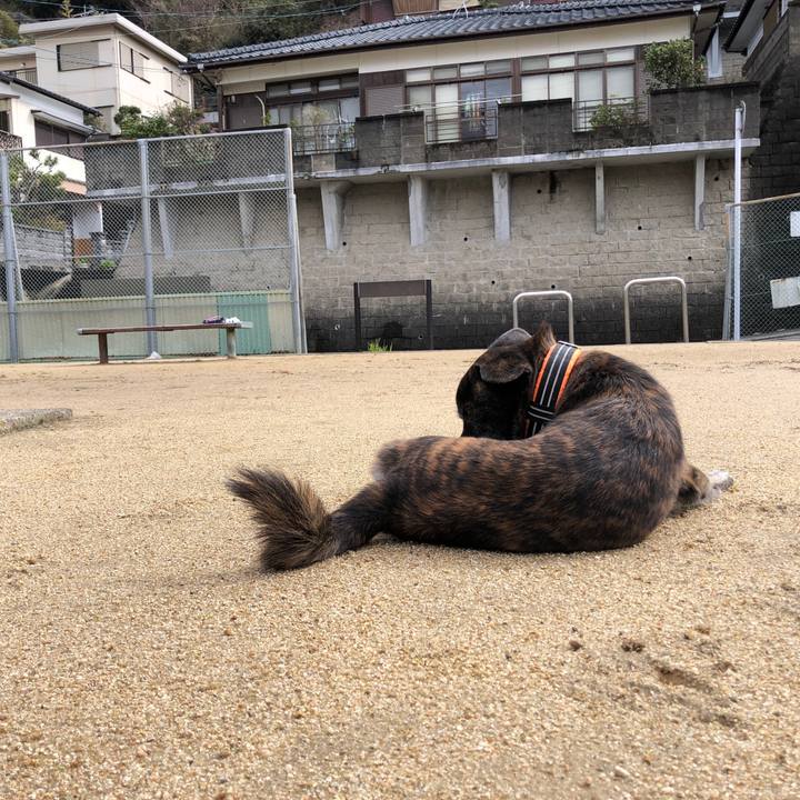 F4a71349 0e12 447d b073 abcef9662151 1580647992309