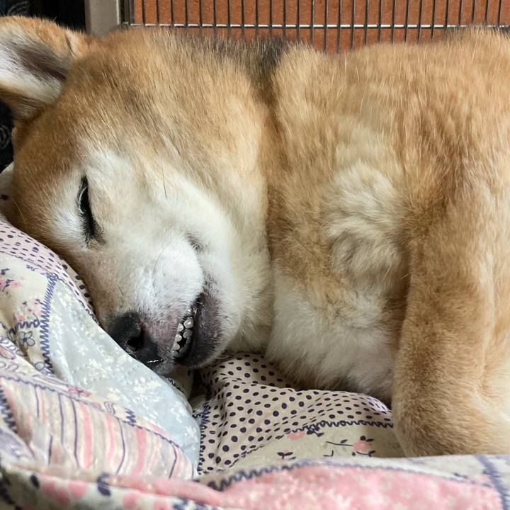 F4a71b9f 78bb 4184 ae76 4a34ea2b9e96 1712380329242