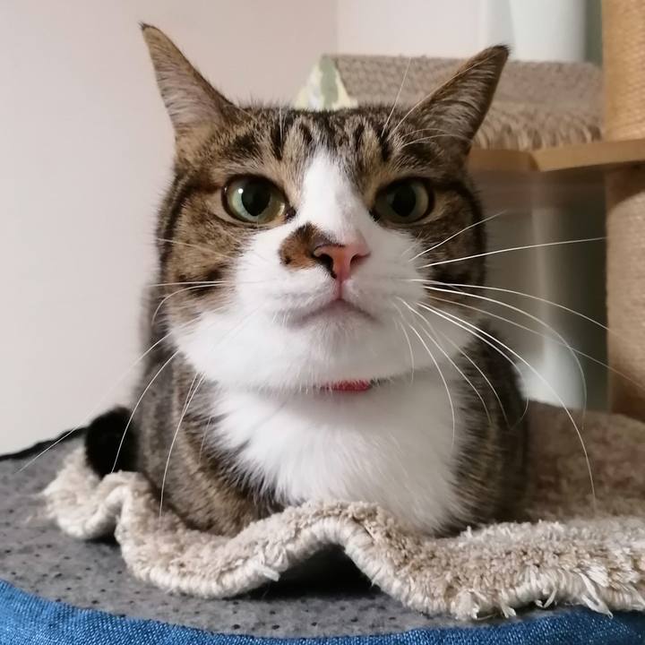 F4a72c93 eb13 4e44 b9d8 145d164e3f41 1765106599693