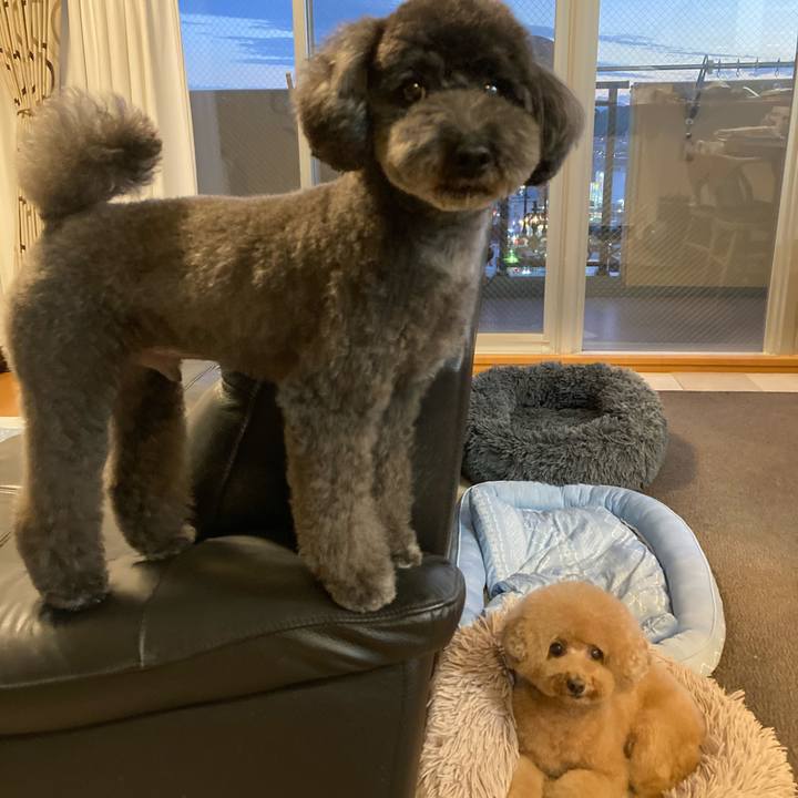 F4a73f48 e046 4f10 b5a4 1ab2a29082a5 1697889202139