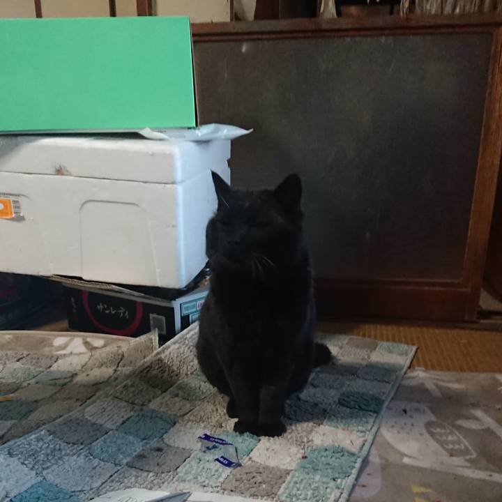 F4a74c2f 8cef 46c9 bbcb bdd69bfeead5 1652220093090