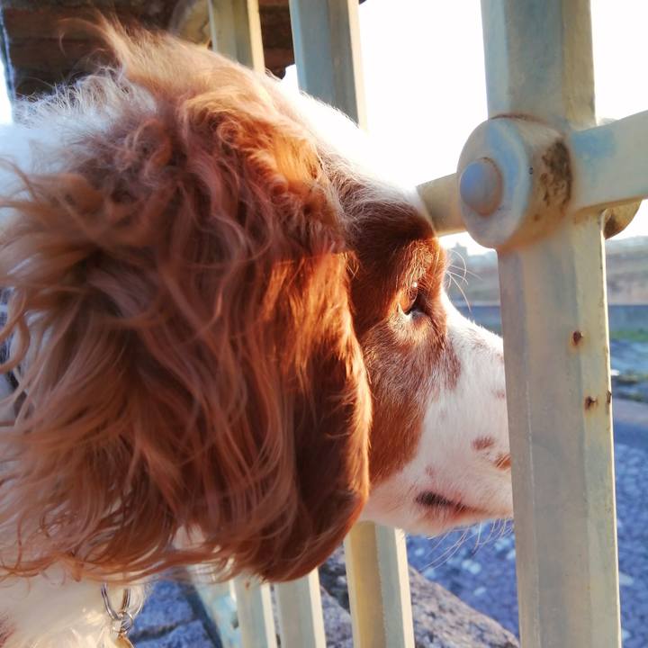 F4a75396 256e 44e7 968c 587a45da0de9 1613474906640