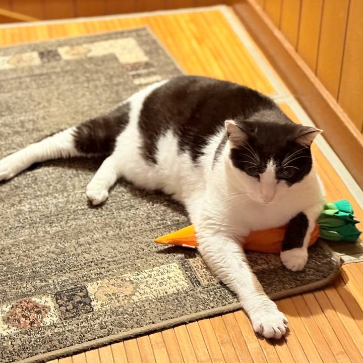 F4a76bef 861b 46eb 8536 a8ab4aa5b13f 1749783574871