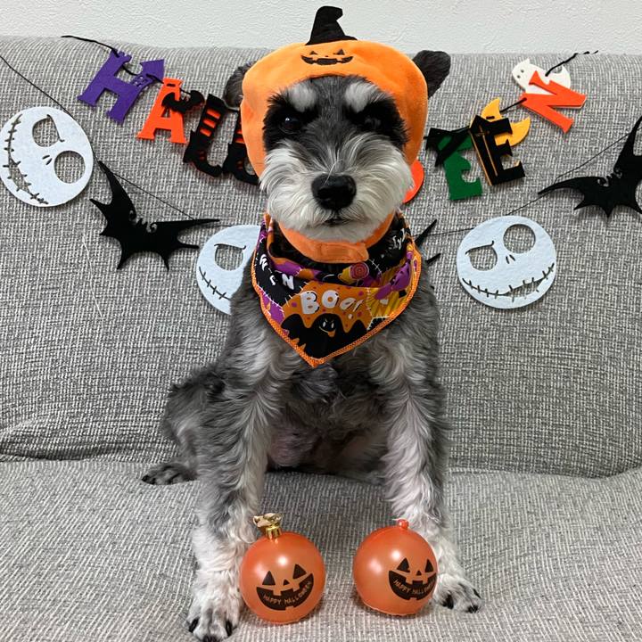 F4a76f5d c051 435c 80f1 da4eccf6ac1c 1761876064371