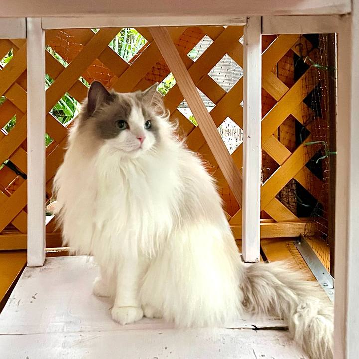 F4a77d56 47ec 4b92 b8c4 7c2e11cc9327 1716285560310