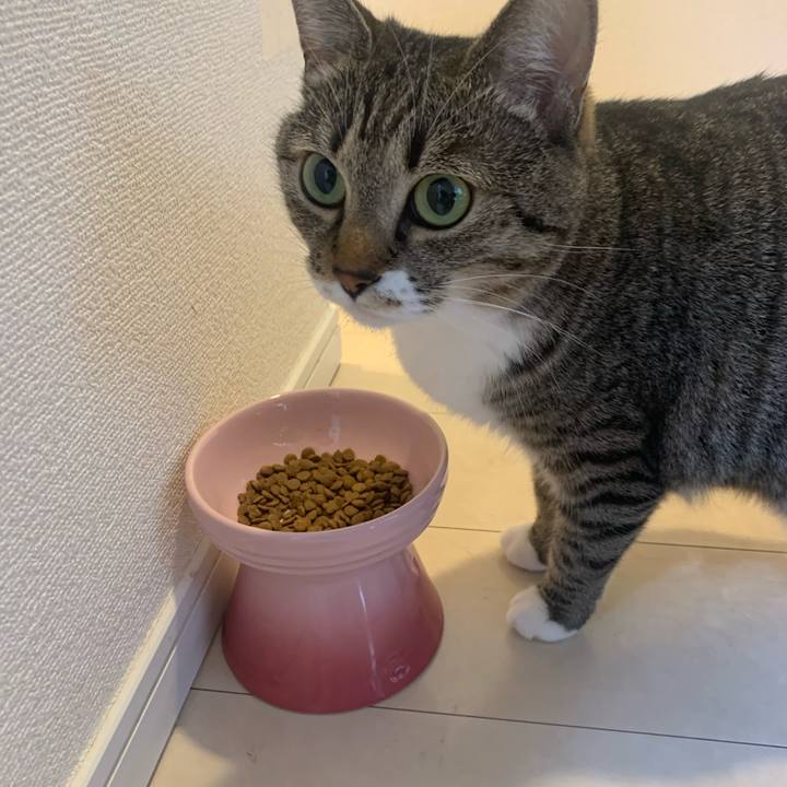 F4a7a25c 5e28 48a4 a24c e2d99169a689 1631104048080