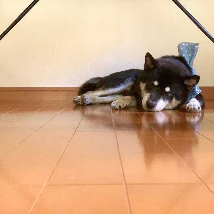 F4a84044 5742 40c4 82aa e1d304e8c5a7 1689687676831