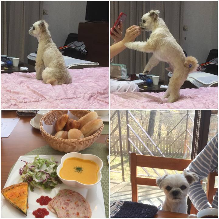 F4a87d73 0ed3 4cec b0f2 c0032f7126ef 1556694537114