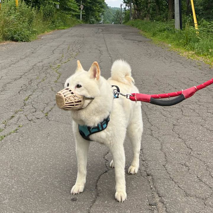 F4a895f2 41a2 4ff0 8b3c 9e28de19d89a 1751404136706