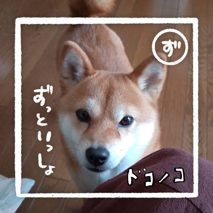 F4a8b47f affc 4fe4 a175 26d34f9471c1 1685933327469