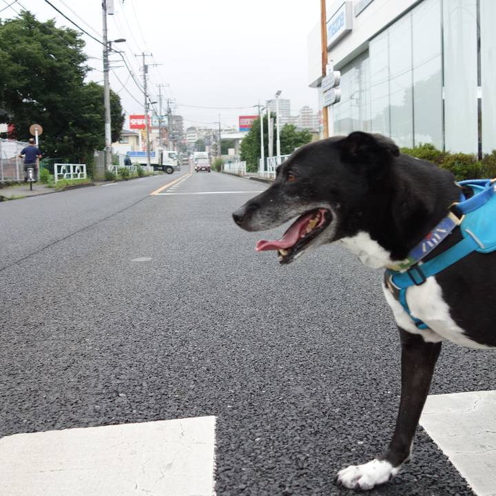 F4a8e39c 65a9 4ee2 b39e 4aa7966a939d 1721004295167